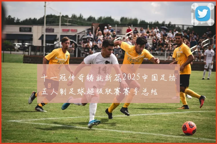 十一冠传奇铸就新篇2025中国足协五人制足球超级联赛赛季总结